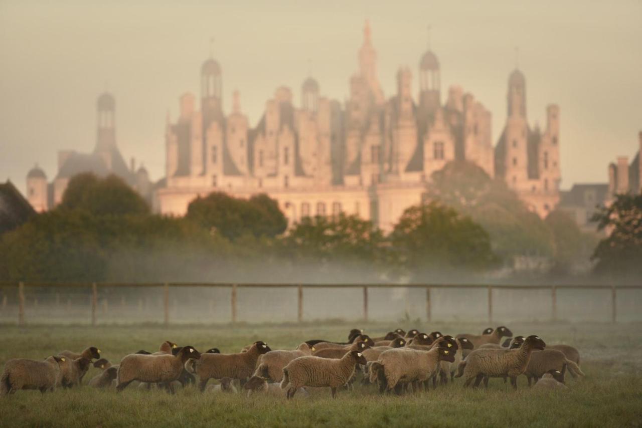 Maison Moz Fontaines-en-Sologne Esterno foto